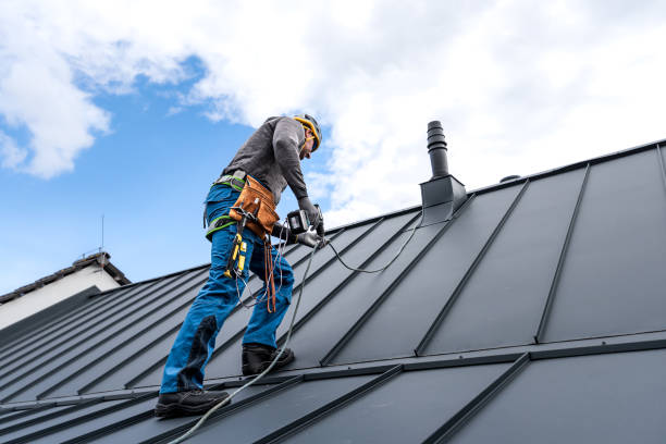 Best Skylight Installation and Repair  in Archer Lodge, NC